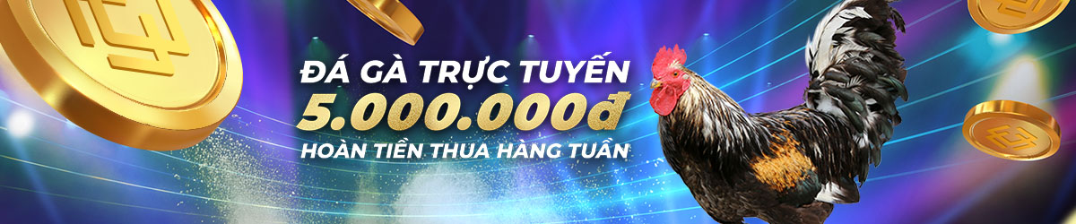 dagathomohomnay.org Hoàn tiền 3.88% hàng tuần tại Đá Gà